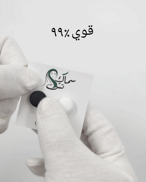 Super Strong Magnetic Hijab Pins ( 2 Pcs ) Smack Touch (Hijab Accessories)